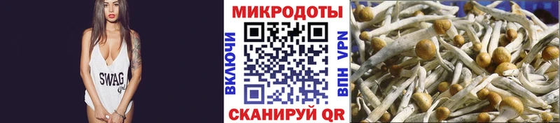 Псилоцибиновые грибы GOLDEN TEACHER  кракен маркетплейс  Ишимбай  продажа наркотиков 